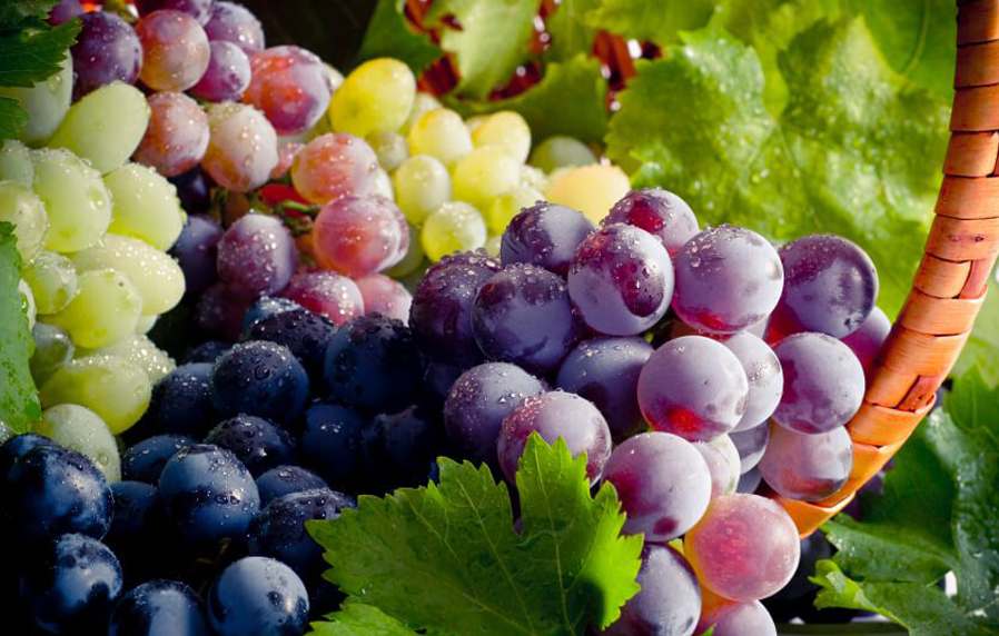 How to design your site footer like we did