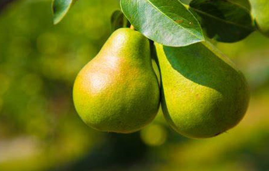 Travelling as a way of self-discovery and progress