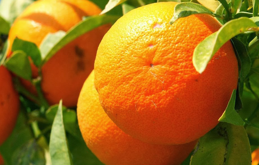 Where to grow your business as a photographer