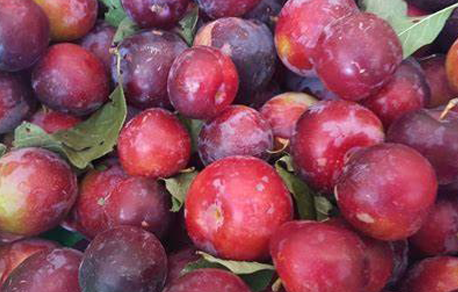 Start a blog to reach your creative peak