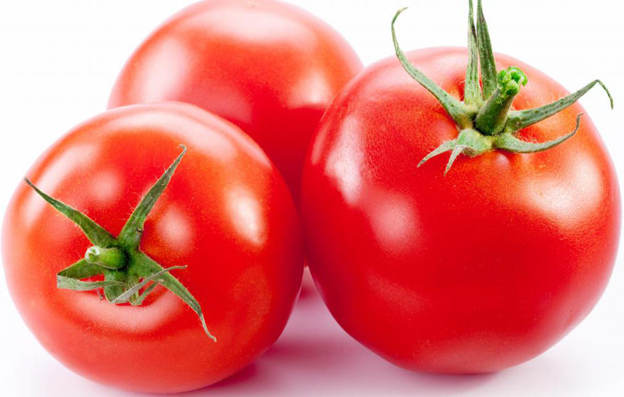 Starting your traveling blog with Vasco